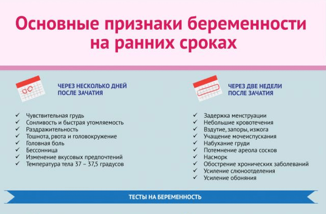 Первые признаки беременности на ранних сроках