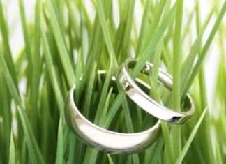 Зараз в моді – екологічна весілля