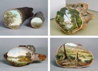 Картини на зрізах дерев Alison Moritsugu.