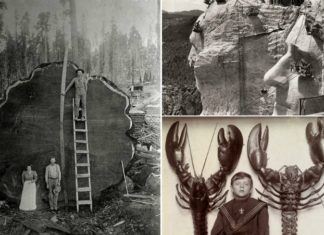 10 історичних фотографій, руйнують стереотипи про розміри звичних речей.