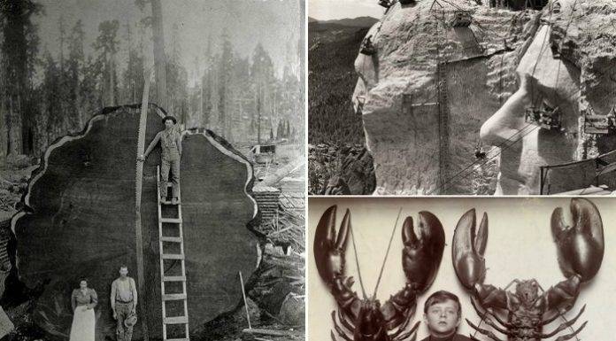 10 історичних фотографій, руйнують стереотипи про розміри звичних речей.