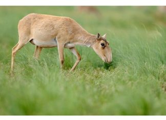 Фотовиставка «Коротко про важливе».