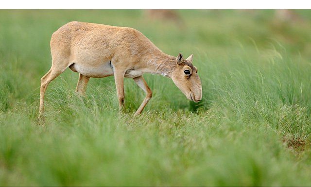 Фотовиставка «Коротко про важливе».