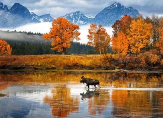 Осінь неймовірно прекрасне.