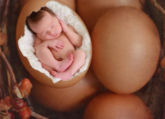 Як розповісти дитині, звідки беруться діти: 15 книг і мультфільмів