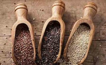 Кіноа в дитячому харчуванні: в чому користь, коли давати і як готувати