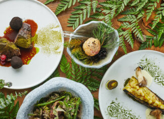 Ялинові шишки, мус з вешенками і пиріжок на посошок: ресторанний смак народної казки