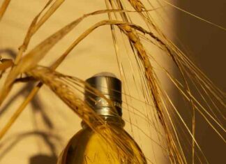 Зволоження та живлення шкіри з зволожуючим мигдальним маслом для душу almond cleansing and softening shower oil від l’occitane