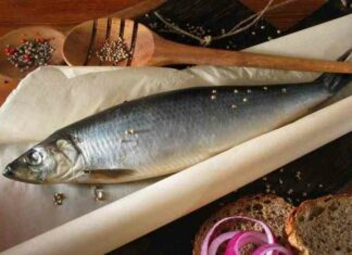 Швидкий і дуже смачний рецепт рулетиків з солоного оселедця