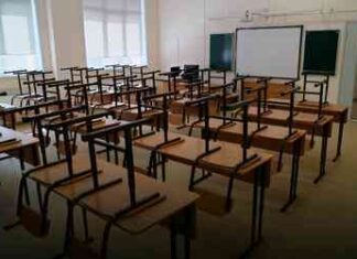 У новосибірських школах вводиться двотижневий карантин