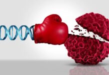 Своєчасне лікування раку повністю усуває пухлини у мишей