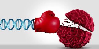 Terminowe leczenie raka całkowicie eliminuje nowotwory u myszy