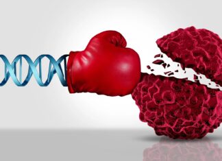 Своєчасне лікування раку повністю усуває пухлини у мишей