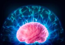 Дефицит Лития Связан с Ранним Развитием Болезни Альцгеймера