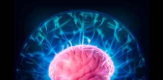 Дефицит Лития Связан с Ранним Развитием Болезни Альцгеймера