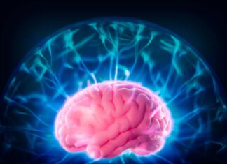 Дефицит Лития Связан с Ранним Развитием Болезни Альцгеймера