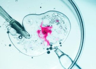 Революційна техніка ЕКЗ запобігає спадковим мітохондріальним захворюванням: у Великобританії виросли вісім здорових дітей