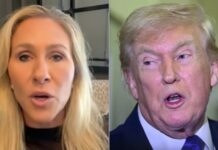 Трамп Попередив Грін про Досьє Епштейна: “Моїм Друзям Буде Боляче”