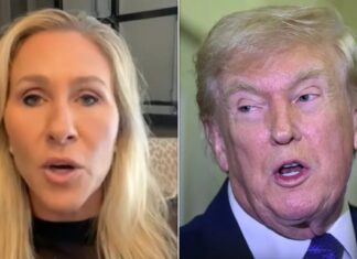 Трамп Попередив Грін про Досьє Епштейна: “Моїм Друзям Буде Боляче”