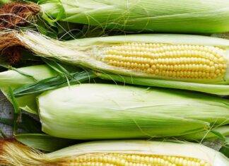 Bakar Sekamnya? Begini Cara Koki Memanggang Jagung